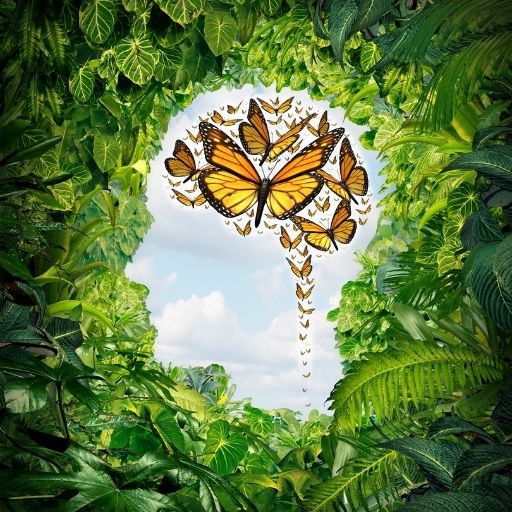 Kopf Silhouette für Impulse 1fachjetzt